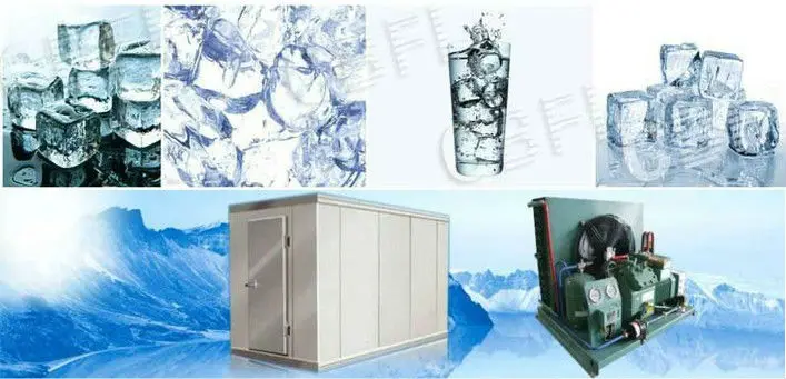 Mini cold room to store 1ton, 2tons fish, meat with best price