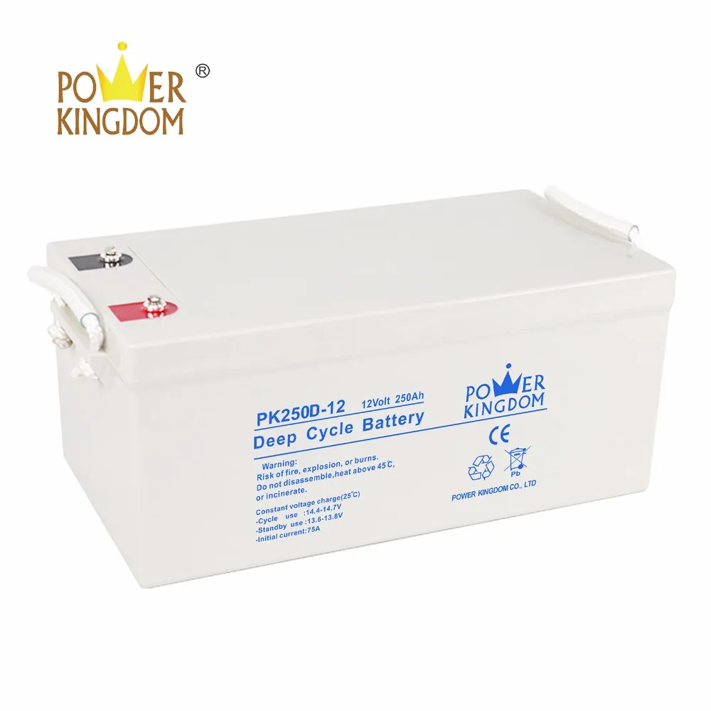 Power Kingdom the best agm battery factory wind power systems-2