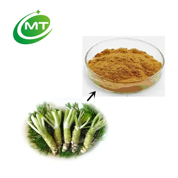 Organic High Quality Pure Natural 121 Wasabi Extract/wasabia Japonica