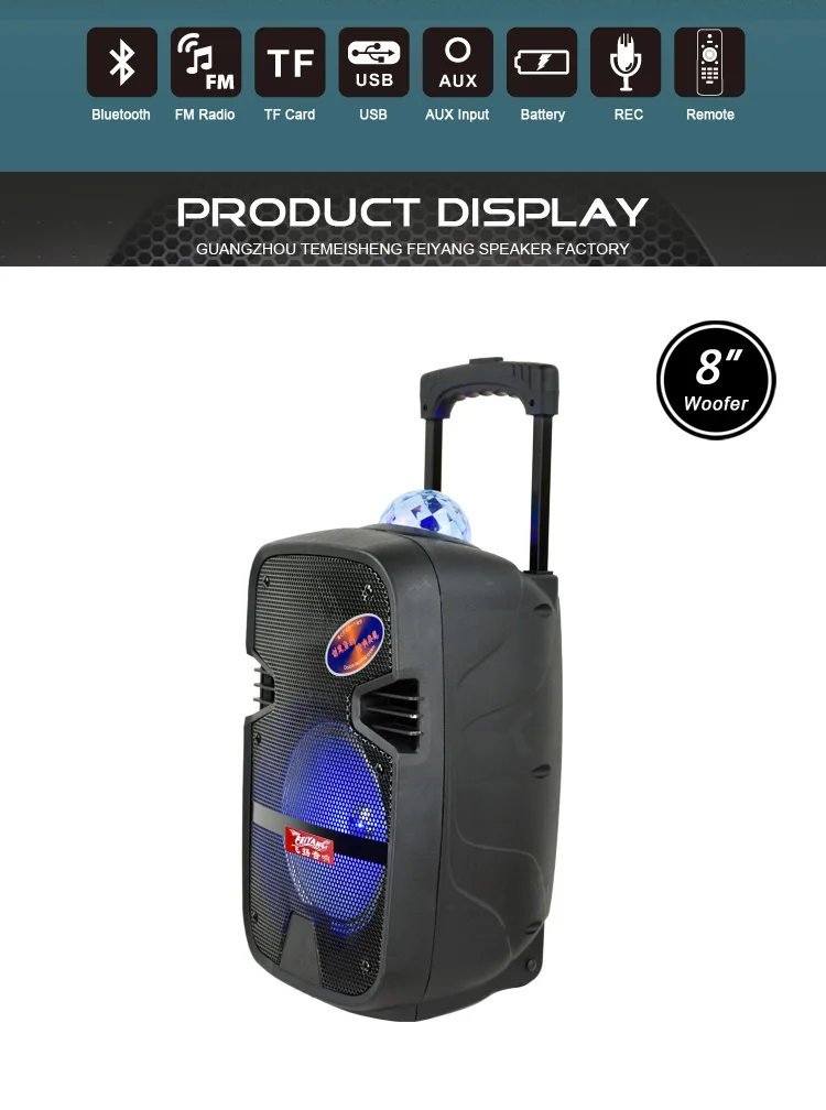 temeisheng(feiyang) chinese karaoke 8 inch professional speaker box loudspeaker enclosure active pa speaker system - ANKUX.COM