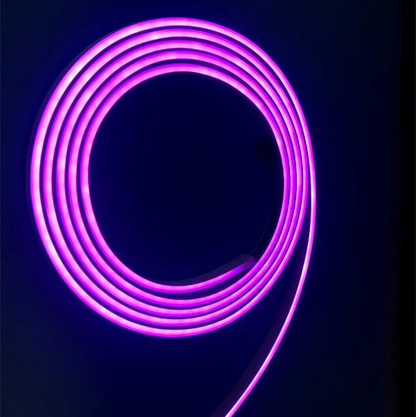 12v 24v RGB magic digital dream multicolor flexible neon 3M Led lighting strip