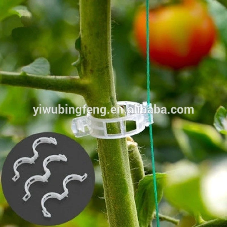 Biodegradable Pla Tomato Plant Lock Clips For Fixed Tomato Vine Buy