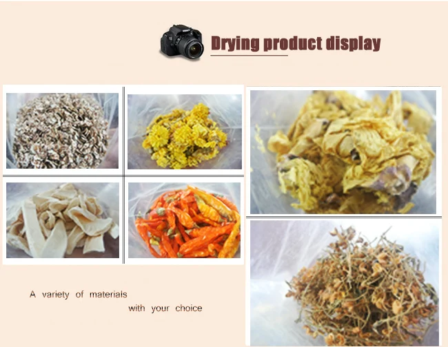 mesh belt dryer13.jpg