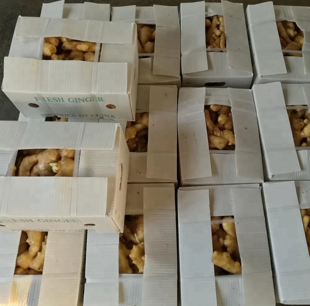 ginger-6kg pvc cartons.jpg