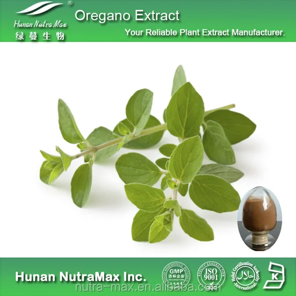 Oregano Leaf Extract Powder 101 Buy Oregano Leaf Extract,Oregano