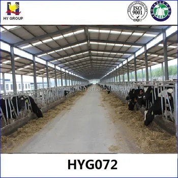 Low Cost Prefabricated Metal Structure Dairy Cow Shed 