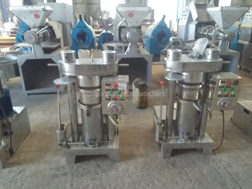 Stainless Steel Avocado Camellia Olive Palm Seed Almond Cold Press Sesame Oil Extraction Virgin Coconut Oil Extracting Machine