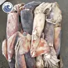 500/1000G Frozen Equator Squid Frozen On board Squid