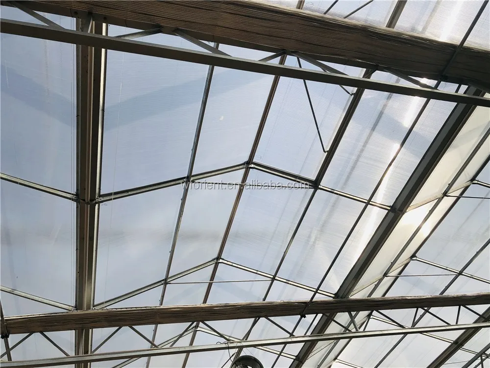 glass single-span greenhouse with aquaponics and cooling