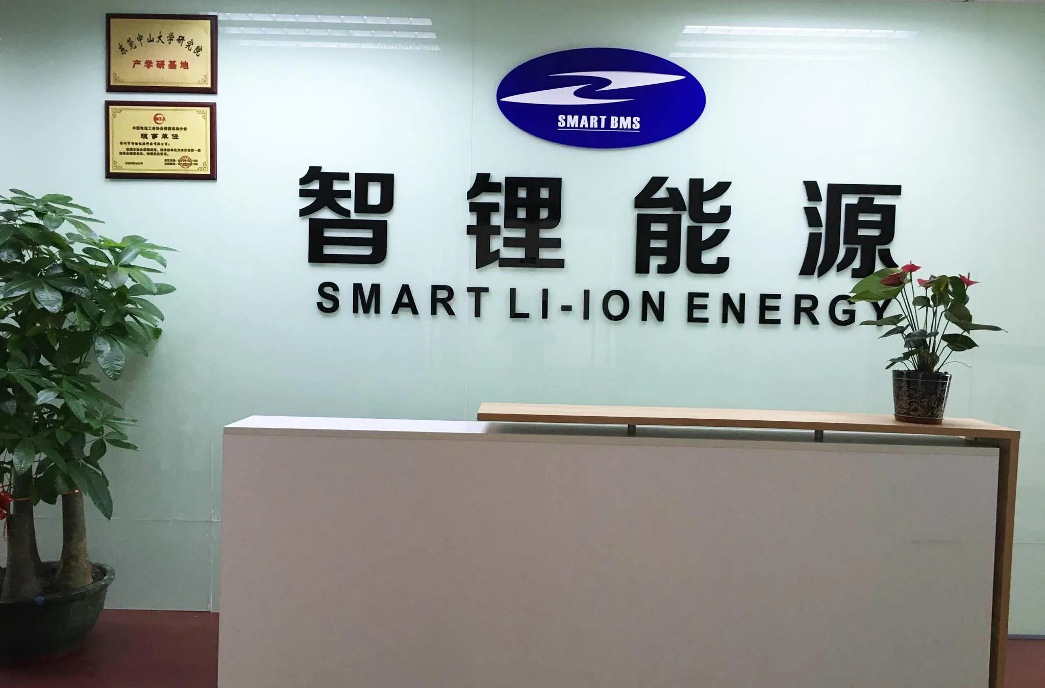 Ли смарт. Shenzhen Smart industry co., Ltd.. Shenzhen Smart Business.