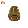 brass Ferrule Type Double Ferrule Compression Fitting /Tubing Connectors