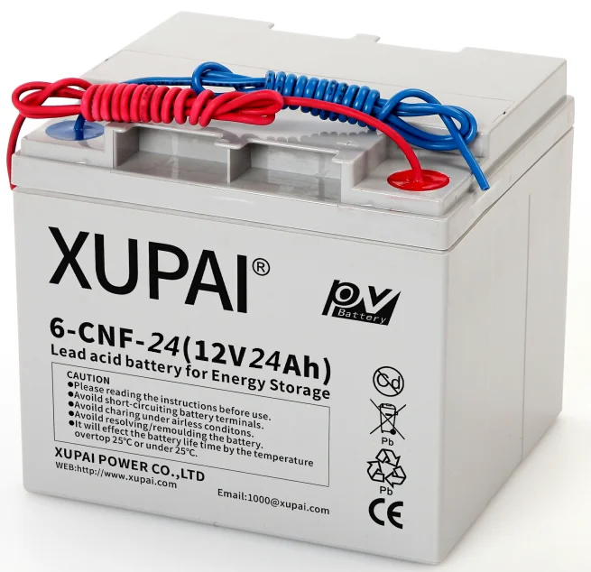 CNF-24_.png