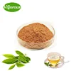 Organic green tea extract powder bulk