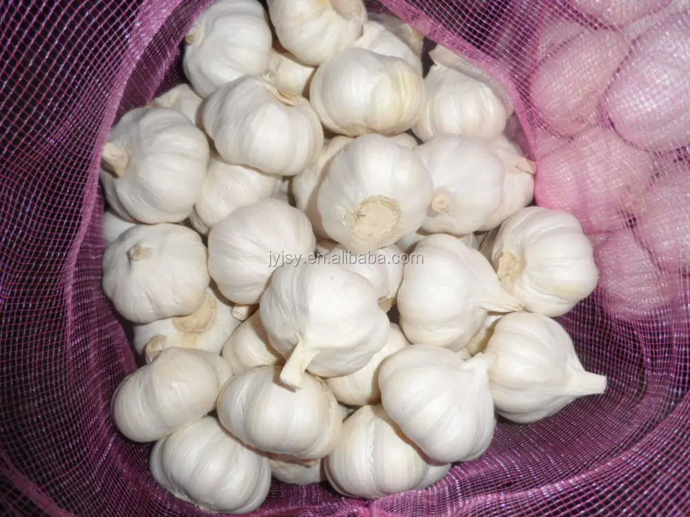 Chinese garlic for 2014