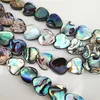 Wholesale natural Abalone shell flat heart shaped Abalone shell beads