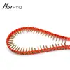 Professional self tapping screw drywall screws on plastic strip with CE certificate