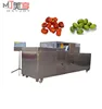grape destemming machine /seed removing machine