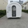 Mobile street fast food van design with double braking system