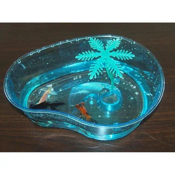 tortoise for fish tank