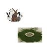 High Quality Brown Algae P.E/Spirulina Algae Extract/Chlorella Algae Powder