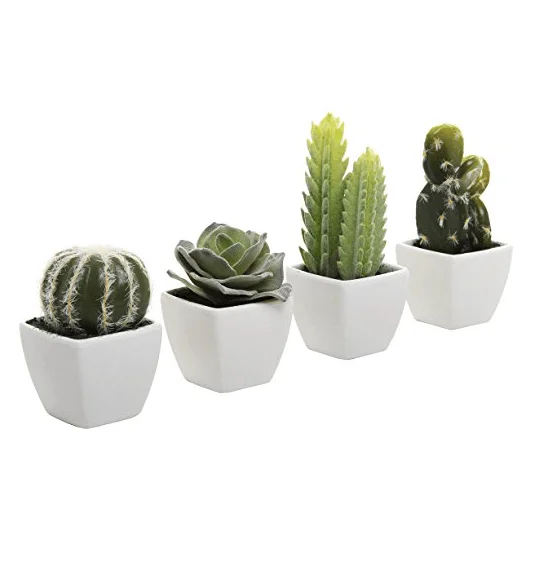 Mini Indoor Cactus Plants In White Cube-shaped Ceramic Flower Pots