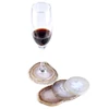 Serve Tray Stone Agate Slice Coaster Cup Mat Pad Table Protector
