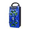 Custom music karaoke led light home theatre system multimedia portable tower speaker fm speaker trolley speaker with battery