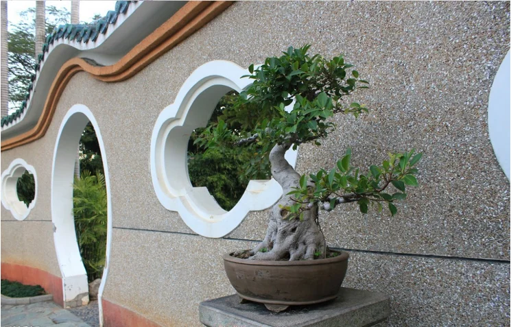 Plant Pots Wholesale Artificial Poinsettia Plant Large Outdoor Bonsai
