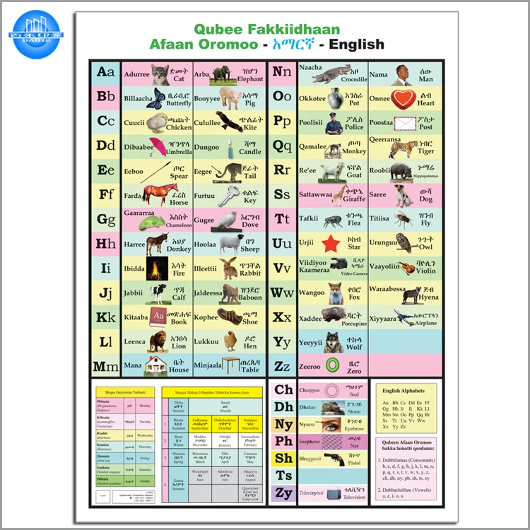 Custom Full Color Poster Design For Your Own Poster Printing With