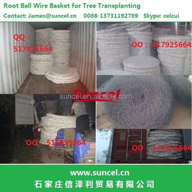 Welded Wire Basket For Root Ball And Tree Transplanting And Tree Nursery Buy Welded Wire