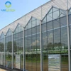 Large multi span glass green house agriculture large greenhouse hydroponic grow systems
