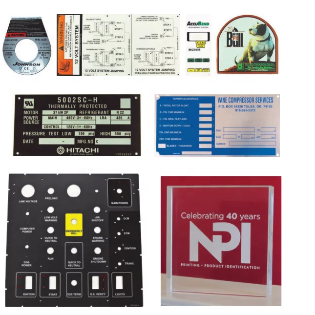 paste-pic-dp_uuid_309bg