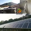 Sprinkler & drip irrigation system by YAOCHUANG ENERGY solar water pump
