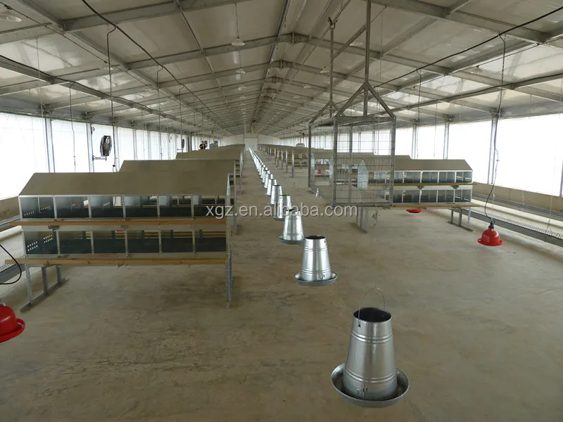 cheap galvanized steel structure poultry house