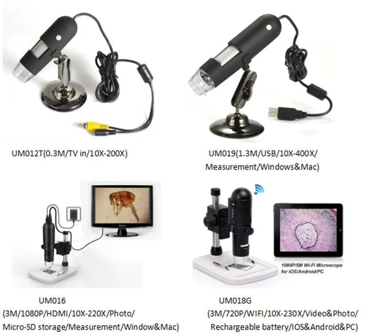 Related products-2.png