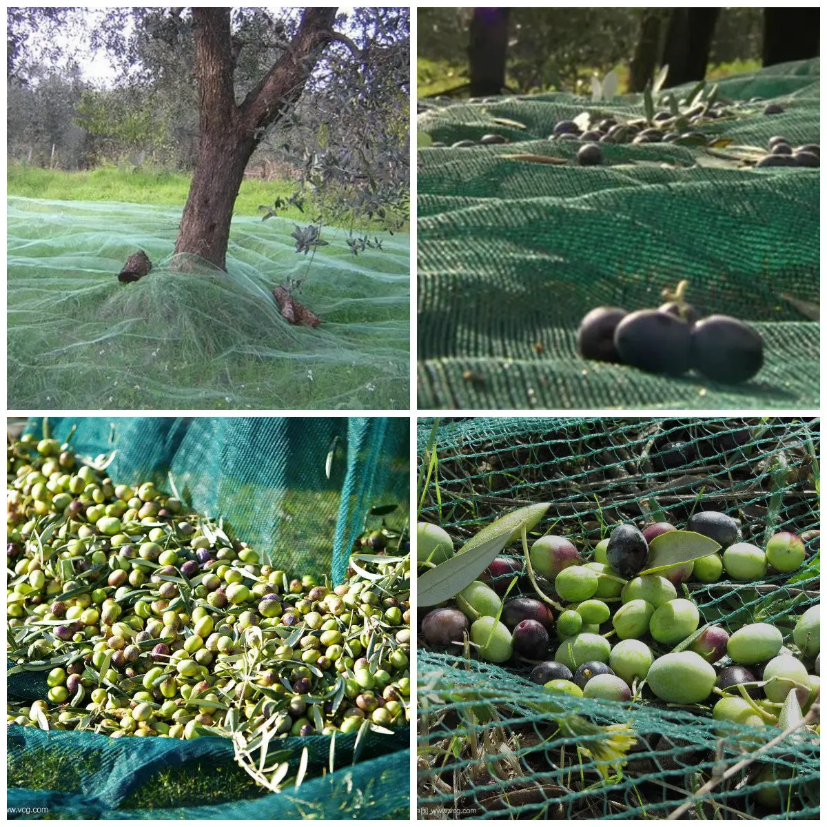 PE Olive Net olive harvesting net catcher in cheap price