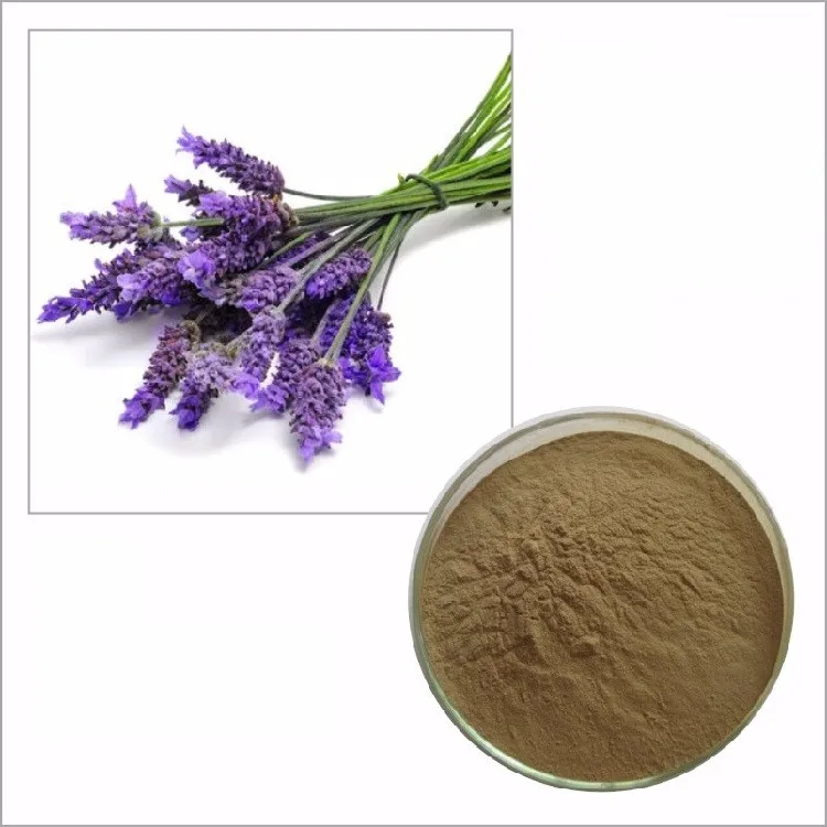 ex1009 dandelion root extract powder ex1010 dandelion leaf