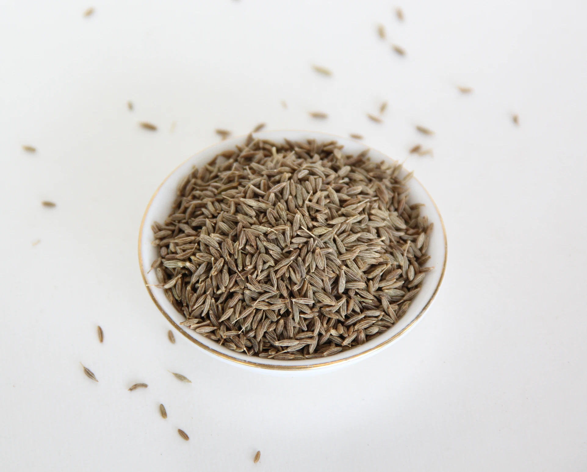 批发中国孜然芹