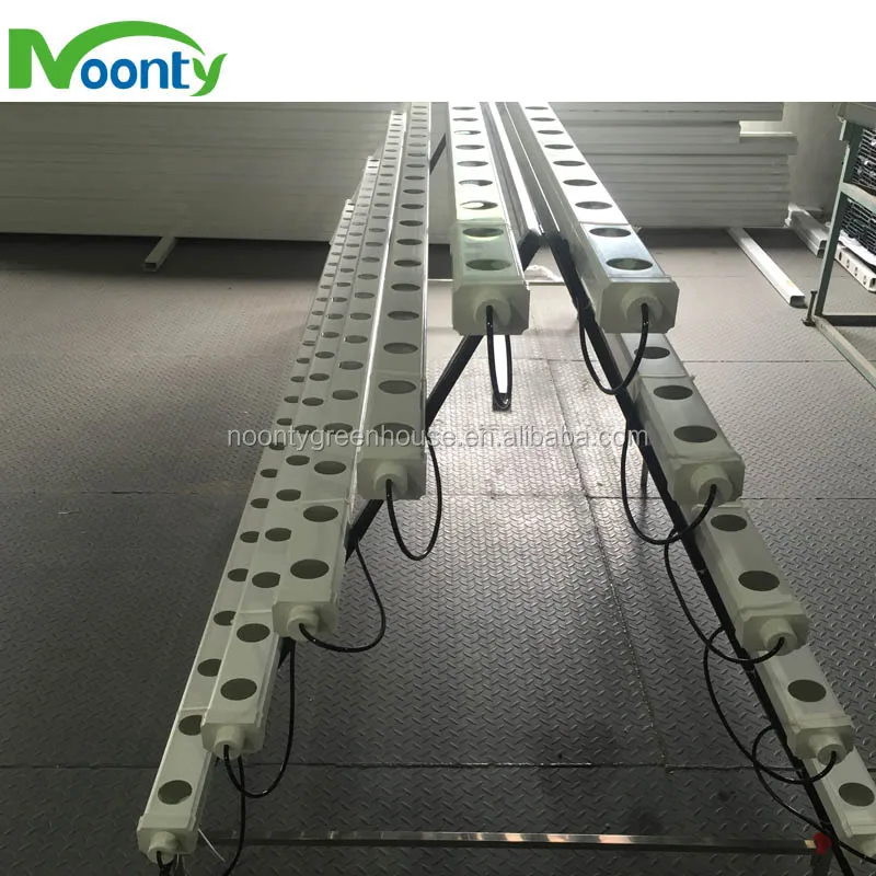 Hydroponics Plant3.jpg