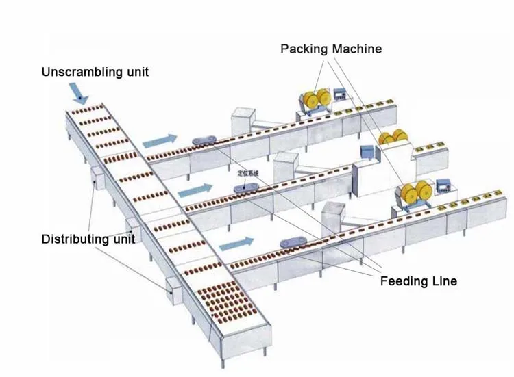 Packing Line Machine 11.jpg