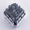 High clear clamshell packaging blueberry container