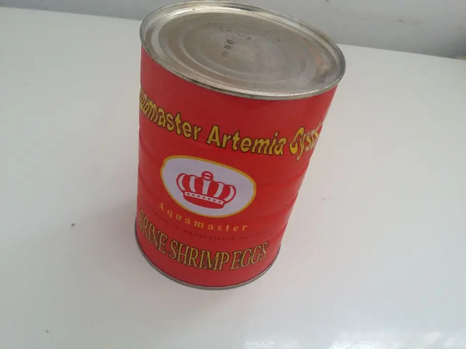 BFC634AF2B0EB33B9728F5D4A88D009A