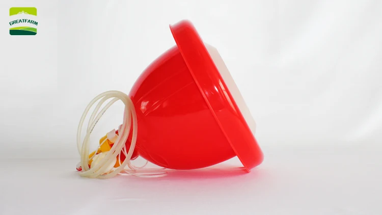 Plastic slatted flooring for pig goat / sheep/ dairy & poultry farms floor sheep In Stock