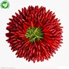 Wholesale Hot Pepper Frozen Red Chilli