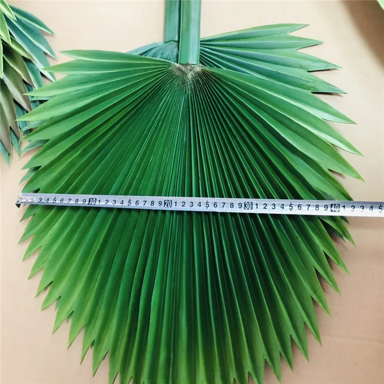 palm tree leaves (15).jpg