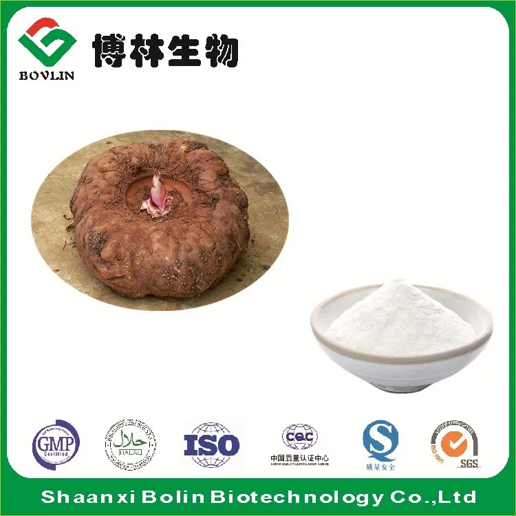 Hot Selling Organic Konjac Root Powder Bulk Natural Konjac Flour Buy