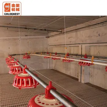 Poultry Farming Equipment Hen Breeder Feeder Chain Buy Poultry