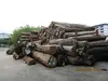 Burmese Teak