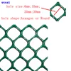 Manufacture PP/PE farming netting/Plastic Flat wire mesh