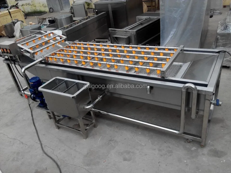 vegetable Washing machine